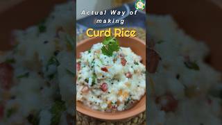 The Correct Way to Make Curd Rice South Indian Comfort Food l Traditional Method l Travel food [upl. by Esinnej915]