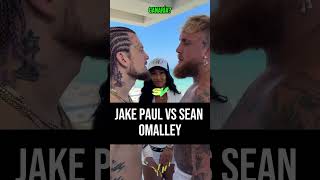 JAKE PAUL VS SEAN OMALLEY [upl. by Yekram]