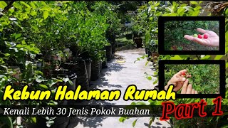 Kebun Halaman Rumah  Kenali lebih 30 Jenis Pokok Buahbuahan Part 1 [upl. by Tamarah786]