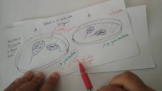 Inducible enzymes [upl. by Nhojleahcim741]