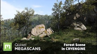 Create a Forest Scene in CRYENGINE [upl. by Jagir792]