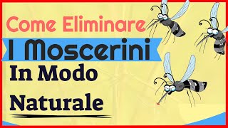 Come Eliminare I Moscerini In Modo Naturale Liberati Dei Moscerini In Pochi Minuti 2020 [upl. by Gamber459]