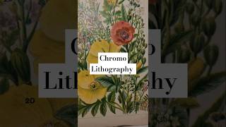 Chromolithography [upl. by Eyt]