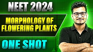 MORPHOLOGY OF FLOWERING PLANT in 1 Shot FULL CHAPTER COVERAGE TheoryPYQs  Prachand NEET [upl. by Rolat]