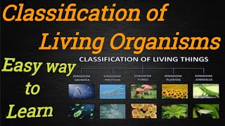 Classification of Living OrganismsNCERT [upl. by Auop]