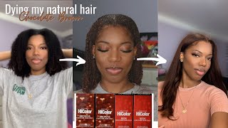 Dying My Natural Hair Chocolate Brown  Loreal HiColor  Gabrielle Amandaaa [upl. by Imeaj]