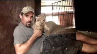 Kevin Richardson a very special Lioness amp her Cubs [upl. by Corron465]