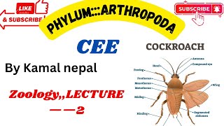 Phylum Arthropodalecture2 by best teacher with notes and instructions [upl. by Leiso]