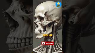 Stronger Than Steel The Unbelievable Power of Human Bones shorts facts status 2024 [upl. by Adriaens]