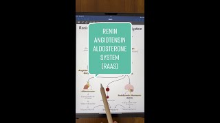 ReninAngiotensinAldosterone System Explained [upl. by Tterab]