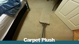 Deep Cleaning Carpet Satisfying ASMR At Home [upl. by Euhsoj]