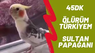 Sultan Papağanı Ölürüm Türkiyem 45 Dk Reklamsız uzunluğunda [upl. by Aynna]