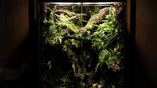 604590 코르크 비바리움vivarium [upl. by Divine]