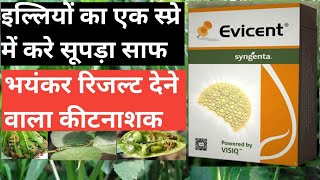 Evicent Syngenta।। Evicent Insecticide।। Syngenta Evicent।। Evicent Insecticide Syngenta।। [upl. by Bourne]