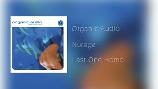 Nurega  Organic Audio Guitar Versión  Studio Rework [upl. by Joelly]