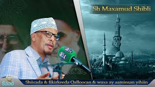 Q 8aad  Shiicada fikirkooda Qalloocan iyo waxa uqarsoon  Sh Maxamud Shibli [upl. by Elizabeth]