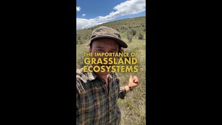 The Importance of Grassland Ecosystems [upl. by Odnamla]