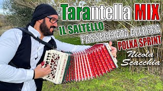 Tarantella MIX NICOLA SCACCHIA campione del mondo di organetto [upl. by Linnet275]