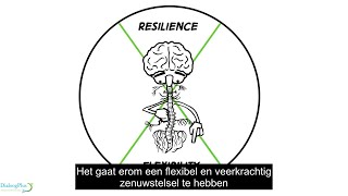 Polyvagal  fightflightfreeze  Hoe ons zenuwstelsel veerkrachtig kan worden [upl. by Eirrehc]