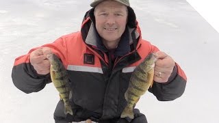 How to Ice Fish for Perch  Ice Fishing Jigging Tips and Tricks [upl. by Yance]