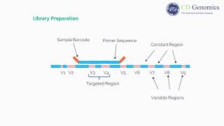 What Is 16s rRNA sequencing [upl. by Anthia]