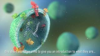 Extracelluar vesicles an introduction [upl. by Donelu]