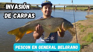 PESCA EN GENERAL BELGRANO 2024  EXPLOTA DE CARPAS [upl. by Agler]