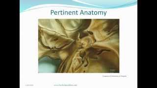 Updated Video Available Pituitary Tumors and Vision  Howard Krauss MD [upl. by Ahsikad681]