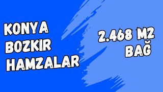 85000 TL  KONYA BOZKIR HAMZALAR KÖYÜNDE 2468 M2 BAĞ SATILIKTIR [upl. by Mojgan]