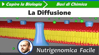 Chimica  Trasformazioni la Diffusione [upl. by Bratton]