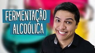 Fermentação Alcoólica e Acética  Respiração Anaeróbica  Prof Kennedy Ramos [upl. by Adam]