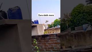 video  Zaroori Tha  Teri Aankhon Ke Dariya Ka Utarna Bhi Jaruri Tha  Bollywood Status  Sad [upl. by Caasi]