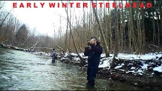 Early Winter Steelhead Fishing Erie PA [upl. by Jaquenette]