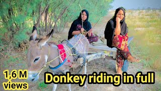 Donkey riding in full speed  Donkey out of control  Rukhsana village vlogs [upl. by Laroy]