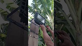 INSTALLING SOLAR LIGHT IN THE BACKYARD 60W BRIGHTNESS 6500K solarlights outdoorlighting [upl. by Akessej313]