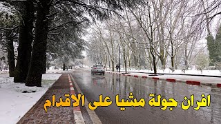 مدينة افران جولة سيرا على الاقدام وسط الثلوج Ifran Morocco Walking Tour [upl. by Mehta]