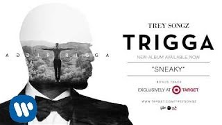 Trey Songz  Sneaky TARGET Bonus Track Official Audio [upl. by Alyag919]