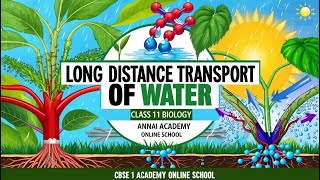 Water Transport Unleashed Mastering Long Distance Movement in Plants [upl. by Siroval]