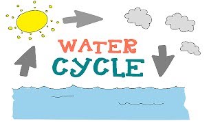 Water Cycle  The 3 phases Explained  Water Cycle Animation for Kids [upl. by Frohman]