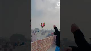 Kite flyingbig kite flyingkite shopping6tawa kites flying kites15August kite flying kite lover [upl. by Sterner]