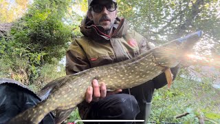 Pike fishing the rivers Stour and Waveney [upl. by Eidnarb]