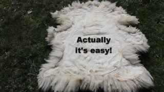 Tan a Sheepskin  Easy Way [upl. by Park]