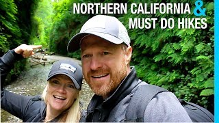 RV NORTHERN CALIFORNIA  REDWOOD TITANS  AIRSTREAM TOUR TRAVEL VLOG 59³ [upl. by Naelcm398]