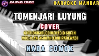 TOMENJARI LUYUNG  COVER KARAOKE  NADA COWOK [upl. by Dore]