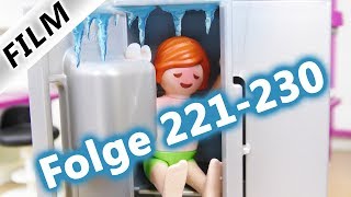 Playmobil Film Deutsch  Folge 221230  Kinderserie Familie Vogel  Compilation [upl. by Yvehc]