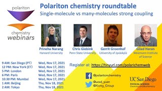 Polariton Chemistry Roundtable  Singlemolecule vs manymolecule strong coupling regimes [upl. by Ylime570]