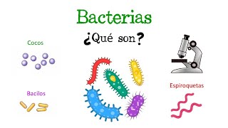 🦠 ¿Qué son las Bacterias 🦠 Fácil y Rápido  BIOLOGÍA [upl. by Neelya]