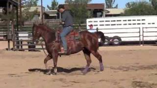 Turbo Heading  Team Roping Head amp Heel Horse by wwwshawngrantropehorsescom [upl. by Furie]