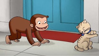 Curioso Come George 🐵 Imparare a conoscere gli animali 🐵Cartoni per Bambini [upl. by Iden]