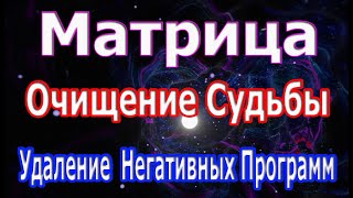 Сильнейшая Матрица 🙏 Очищение Судьбы и Удаление Всех Негативных Программ 🙏 [upl. by Aviva]